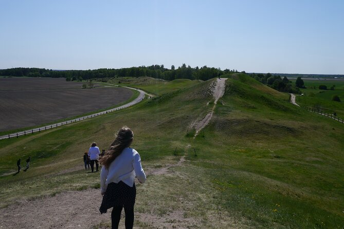 Guided tour 90min at Old Uppsala mounds and old Uppsala church - Why Gamla Uppsala mattered so much