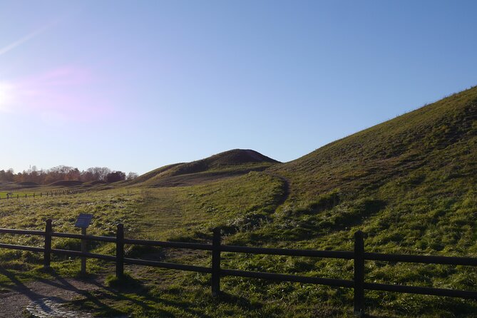 Guided tour 90min at Old Uppsala mounds and old Uppsala church - The longhouse plateaus near the church