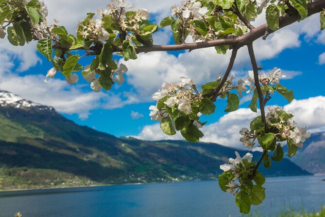 Guided tour to Hardanger Fjord, Waterfalls and Ferry Crossing - The first ferry from Kvanndal to Utne