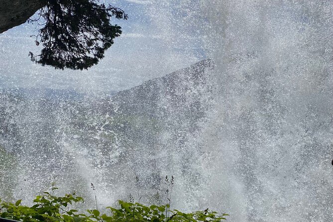 Guided tour to Hardanger Fjord, Waterfalls and Ferry Crossing - Utne offers old wooden houses and quiet water views