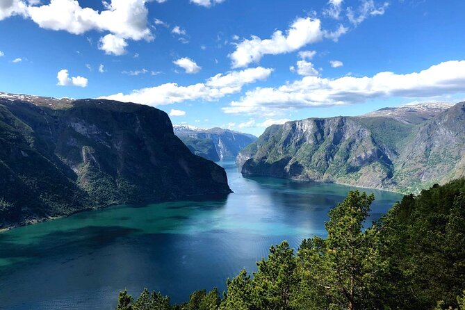 Guided Tour To Nærøyfjorden, Flåm And Stegastein - Viewpoint Cruise - Bergen to Gudvangen: a long road with good scenery
