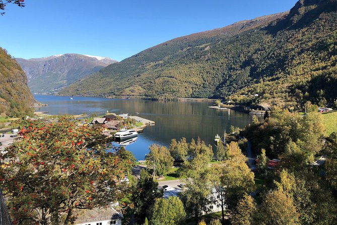 Guided Tour To Nærøyfjorden, Flåm And Stegastein - Viewpoint Cruise - Who will get the most from this day?