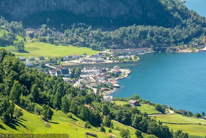 Guided tour - Viking Village, Nærøyfjord Cruise and Flåm Railway - Flåm and the climb to Myrdal