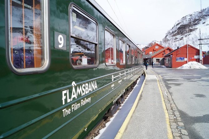 Guided tour - Viking Village, Nærøyfjord Cruise and Flåm Railway - What the full day feels like