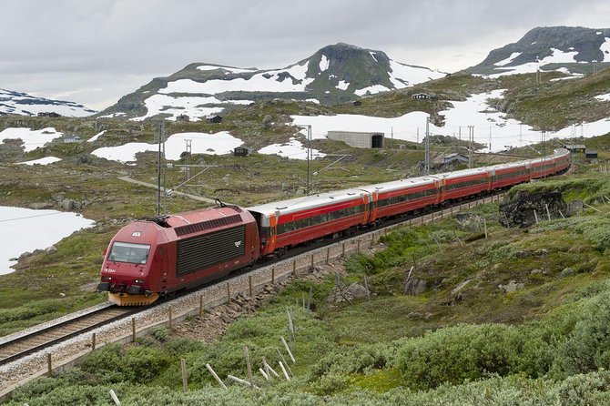 Guided tour - Viking Village, Nærøyfjord Cruise and Flåm Railway - Is the $429.48 price fair?