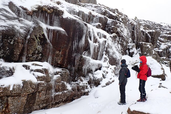 Guided winter hike to Pulpit Rock Preikestolen - Is $149.35 good value?
