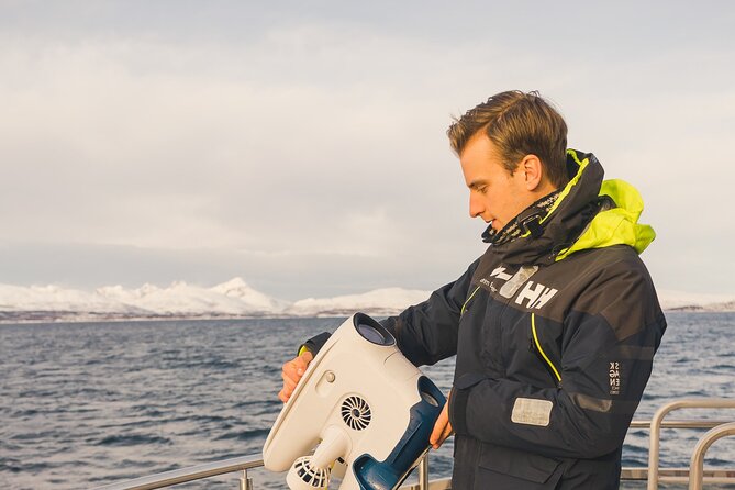 Half Day Arctic Fjord Cruise from Tromso - Four hours from Tromsø into the fjords