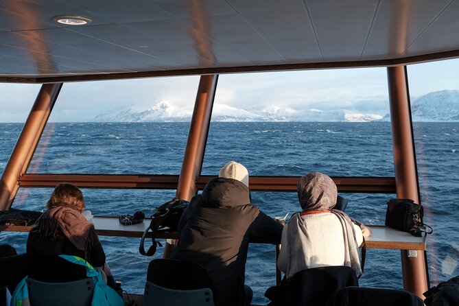 Half Day Arctic Fjord Cruise from Tromso - Wildlife is possible, not promised