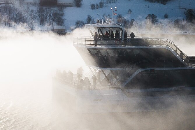 Half Day Arctic Fjord Cruise from Tromso - Who should book this Tromsø fjord cruise?