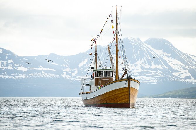 Half-Day Fishing & Fjord Cruise Adventure from Tromsø in Norway - Fishing for Cod in Tromsø’s Fjords