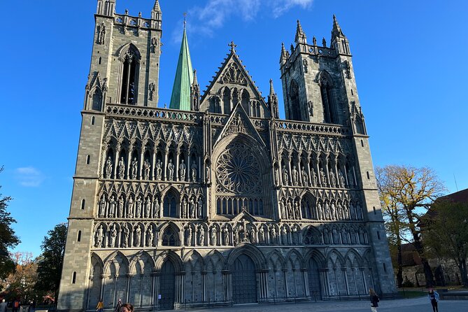 Half-Day Highlights of Trondheim by Bus and City Walk - Byåsen and the Sverresli view
