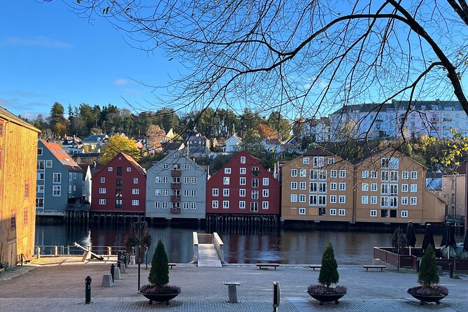 Half-Day Highlights of Trondheim by Bus and City Walk - Nidaros Cathedral: allow time, but check your expectations