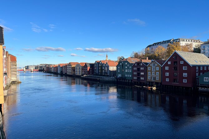 Half-Day Highlights of Trondheim by Bus and City Walk - Stiftsgården, Trondheim’s royal address