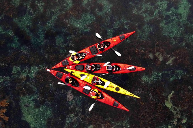 Half Day Kayak - Northern Explores AS - Key points to know before you paddle