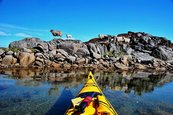 Half Day Kayak - Northern Explores AS - Is $102.50 a fair price?