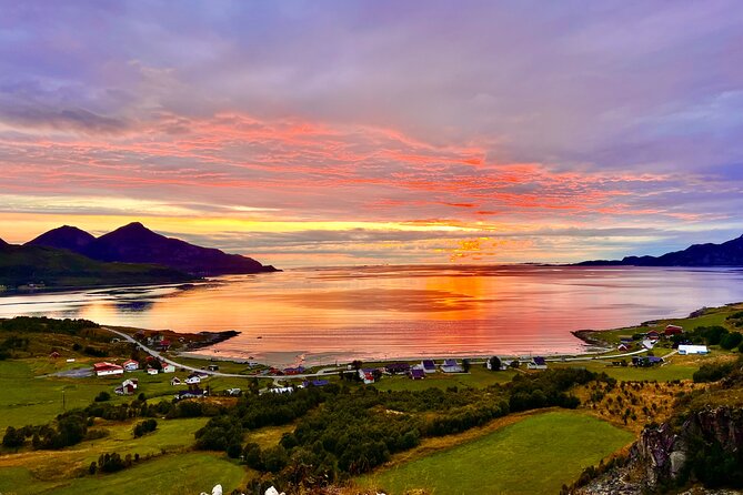 Half-Day Scenic Wildlife & Photographic Fjord Tour. - Fjords, tundra, and the best places to stop