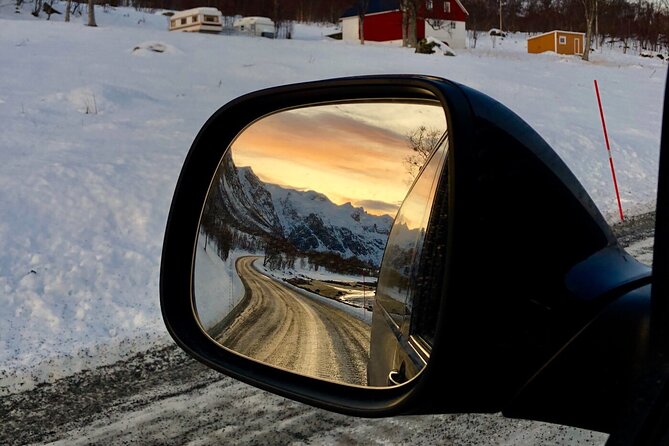 Half-Day Scenic Wildlife & Photographic Fjord Tour. - Photography help that goes beyond a scenic drive
