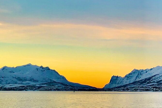 Half-Day Scenic Wildlife & Photographic Fjord Tour. - Stories, local roots, and guide style