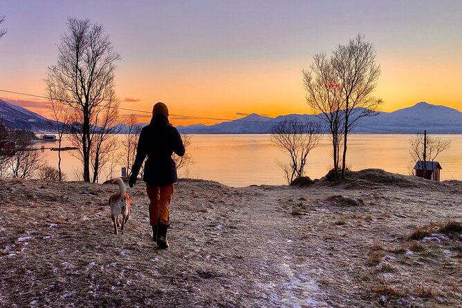 Half-Day Scenic Wildlife & Photographic Fjord Tour. - Weather, winter roads, and the price of the experience