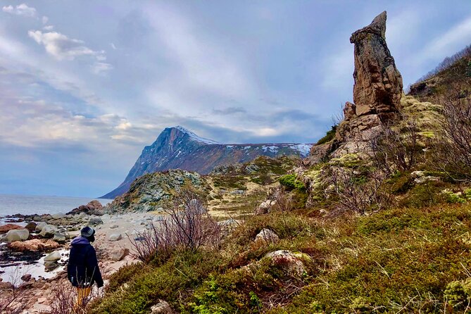Half-Day Scenic Wildlife & Photographic Fjord Tour. - Snacks, comfort, and the small-group feel