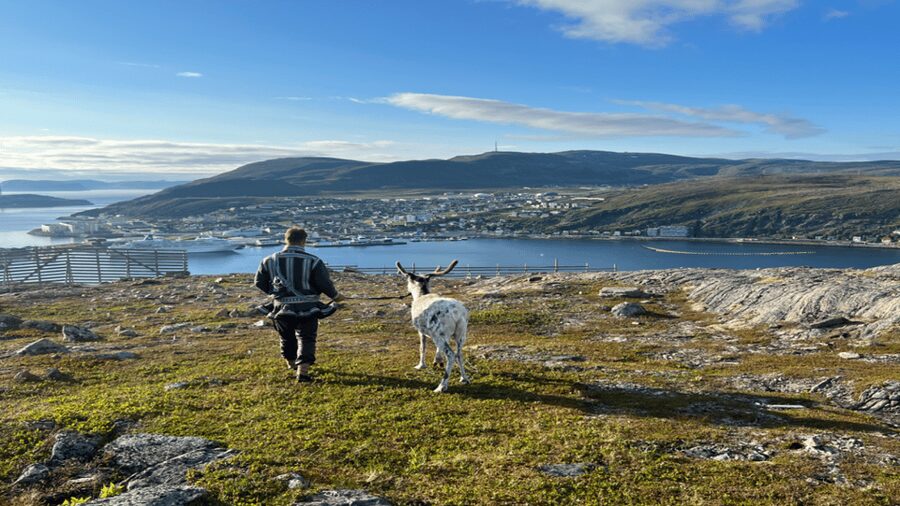 Hammerfest: Guided Tour - Meet Reindeer - Should you book the reindeer visit?