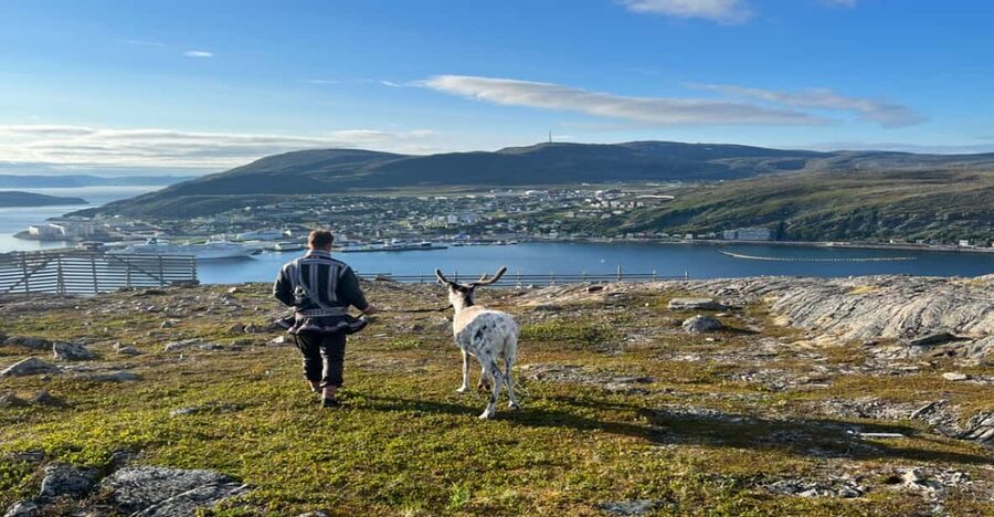 Hammerfest: Guided Tour - Meet Reindeer - The Salen Mountain walk and views
