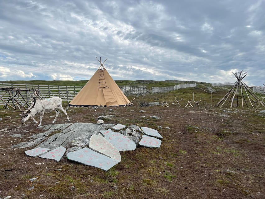 Hammerfest: Guided Tour - Meet Reindeer - Price, comfort, and practical value