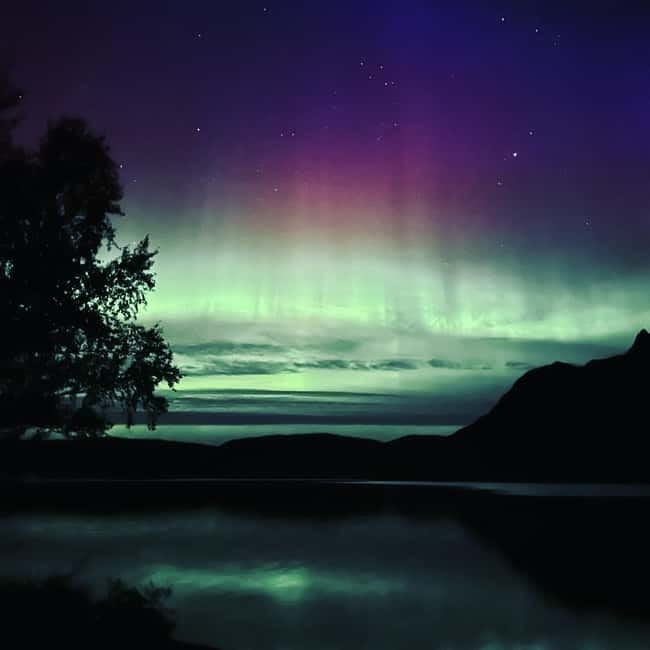 Harstad/Narvik/Tjeldsund: Northern Lights Sightseeing by Car - Riding through the fjords after dark