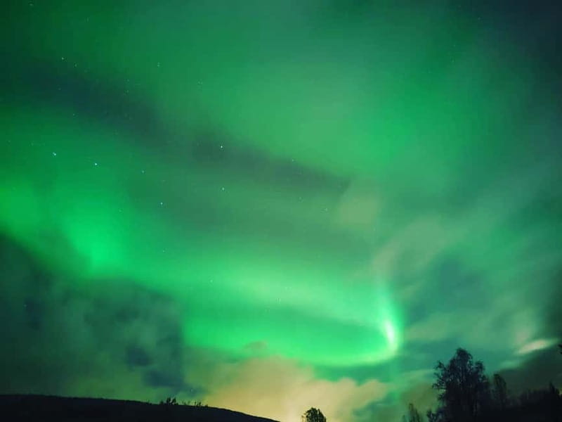 Harstad/Narvik/Tjeldsund: Northern Lights Sightseeing by Car - Constantin’s guiding style