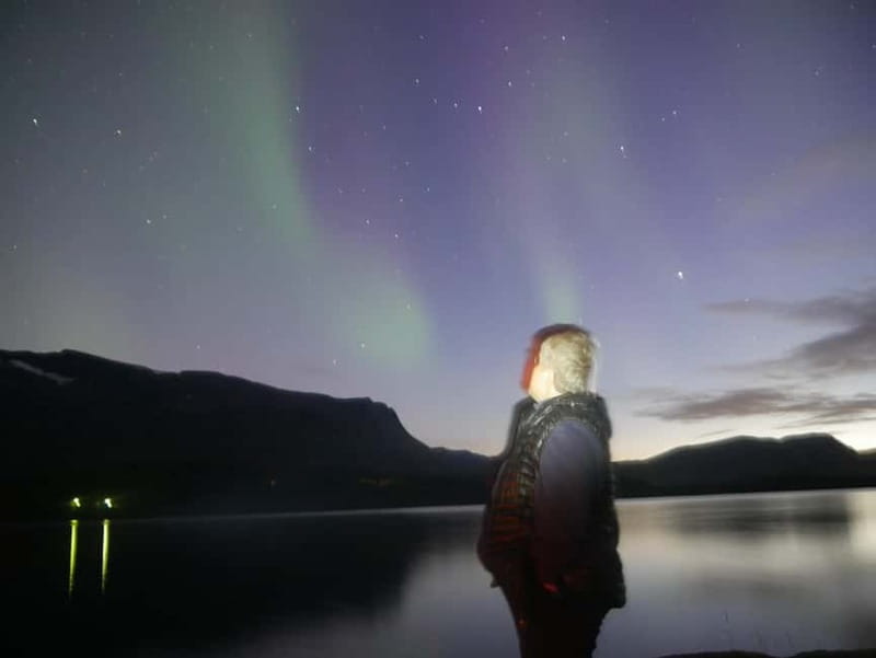 Harstad/Narvik/Tjeldsund: Northern Lights Sightseeing by Car - How the 4.5-hour format works in practice