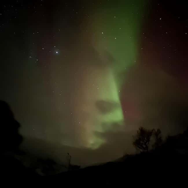 Harstad/Narvik/Tjeldsund: Northern Lights Sightseeing by Car - Who should book this outing