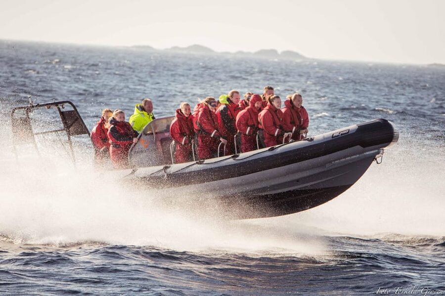 Haugesund: RIB Safari to the island communities - Feøy and the small island communities