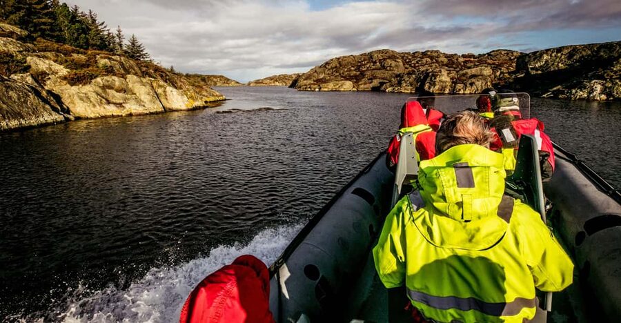 Haugesund: RIB Safari to the island communities - Watching for the white-tailed eagle
