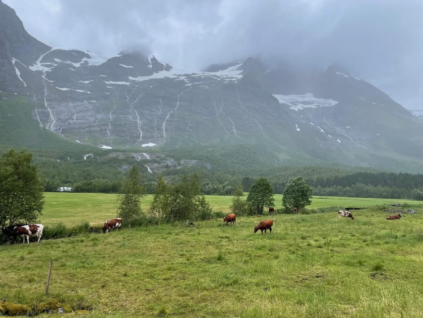 Hellesylt to Norangsdalen: Scenic E-Bike Tour - Temperature, clothing, and comfort on the road