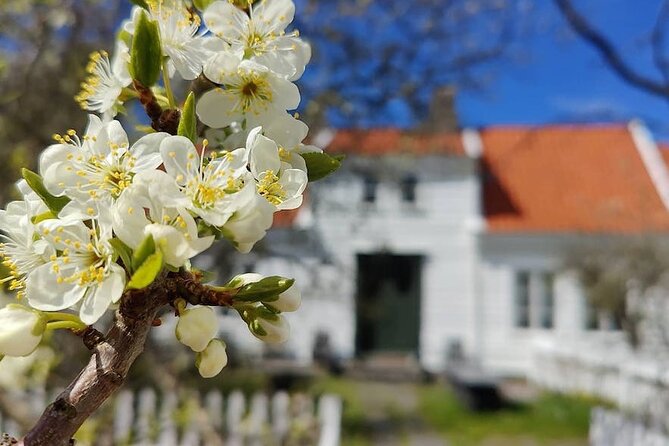 Highlights of the Region -City/Skudenes/Avaldsnes Guided Bustour - Four details that shape the experience