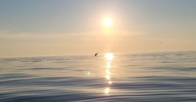 North Cape King Crab & Arctic Wildlife Safari