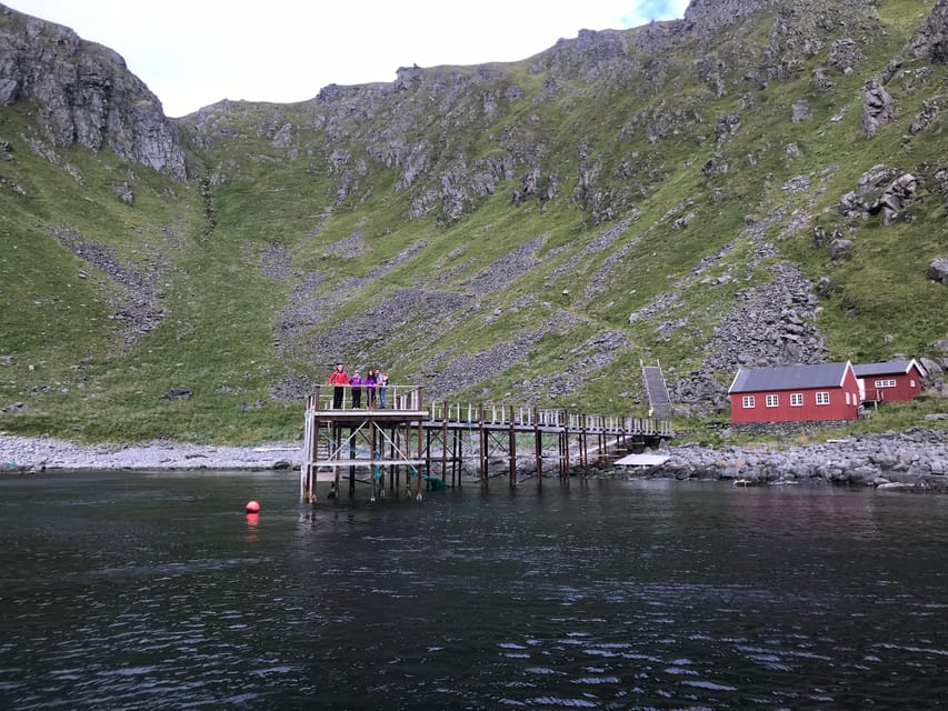 Honningsvåg: North Cape King Crab & Arctic Wildlife Safari - Wildlife watching along Magerøya’s coast