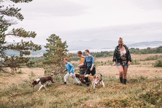 Husky Hike and Puppy Visit with Lunch - Hiking with huskies on Arctic terrain