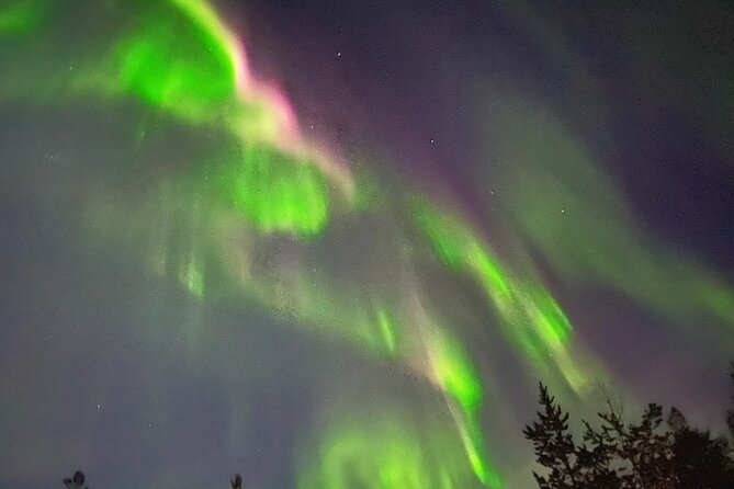 Husky Sled Ride Northern Lights Tour from Kiruna - Why a Husky Sled Is a Fine Aurora Vehicle