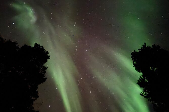 Husky Sled Ride Northern Lights Tour from Kiruna - What the $194.04 Price Gives You