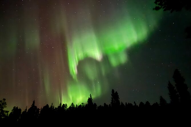 Husky Sled Ride Northern Lights Tour from Kiruna - Practical Advice Before You Go
