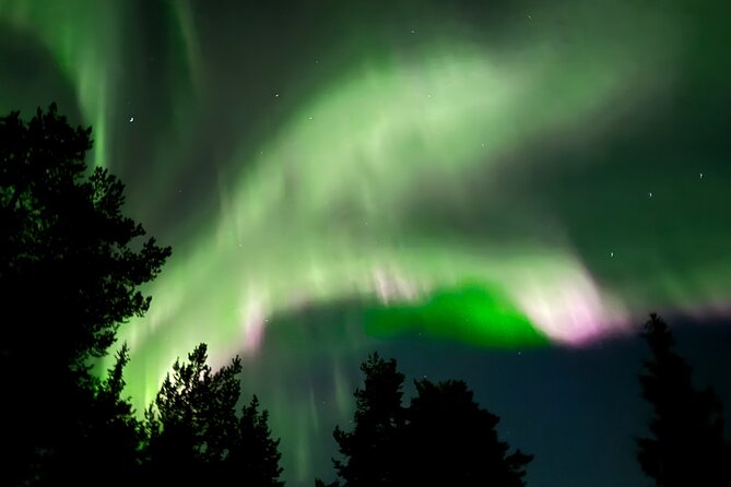Husky Sled Ride Northern Lights Tour from Kiruna - Six Kilometers Into the Snowy Wilderness