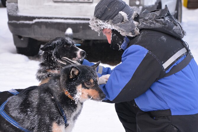 Husky Tour Sit and Drive Combo Tour from Kiruna - Pickup, timing, and the details that can ruin a good morning