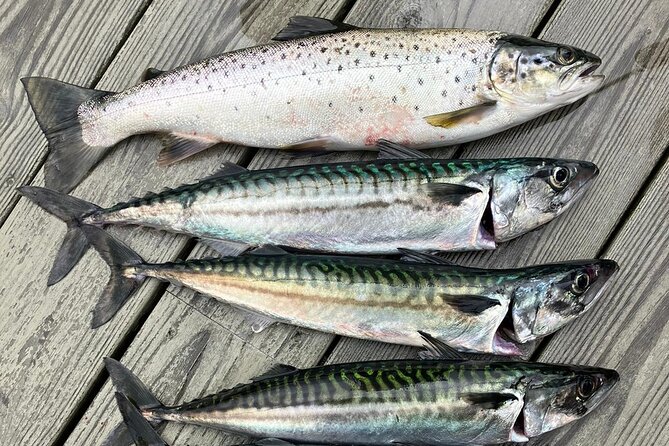 Inshore fishing in the Drangefjord - Learning pots, troll nets, and other local methods