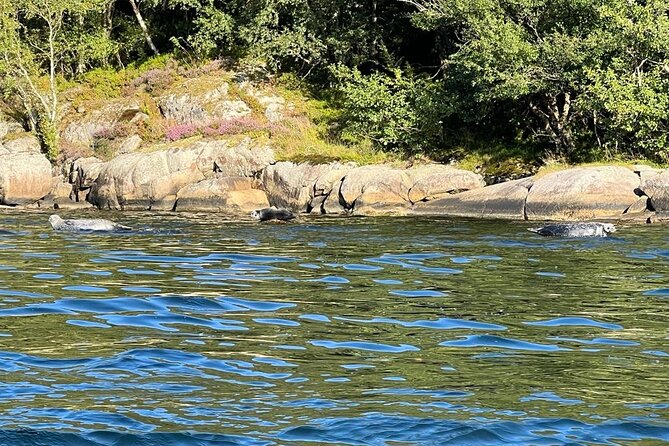 Inshore fishing in the Drangefjord - The fishing itself: realistic expectations