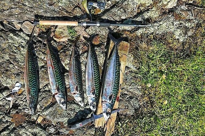 Inshore fishing in the Drangefjord - Timing, weather, and the practical details
