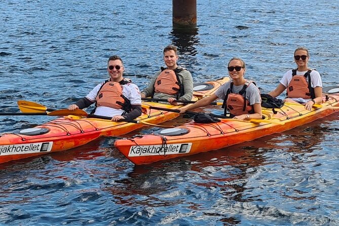 Kayak Tour in Copenhagen Harbor in May and September - Starting at Kalvebod Bølge beside the harbor