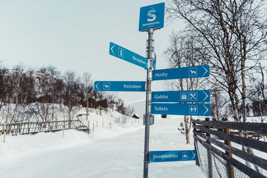 Kirkenes: Snowhotel Entrance Ticket - Meeting reindeer before entering the hotel