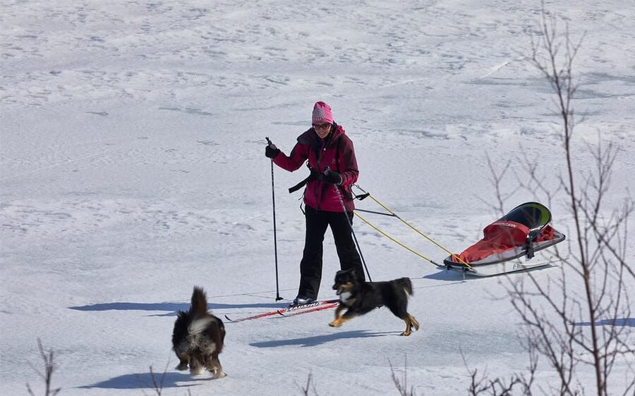 Kiruna: Cross-Country Skiing Tour with a Guide - Getting Comfortable on Skis