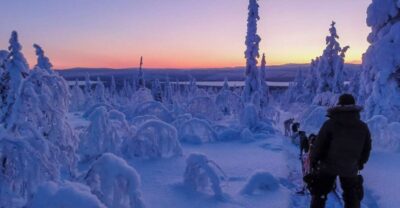 Guided Afternoon Drive Your Own Dog Sled Tour